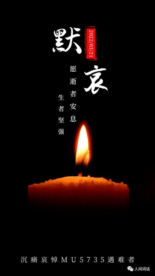 【专题推荐】张建国//七律•悼念3.21空难者（图4）