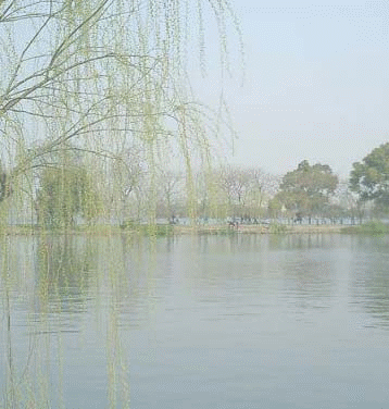 【潇湘文学社】潇湘问梅诗社《嵌“一线春从柳上还”入诗》(总302期)(图9)