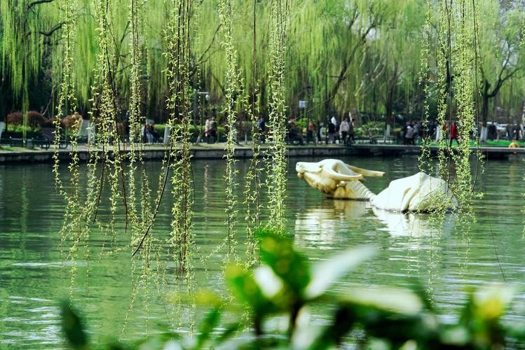 【潇湘文学社】潇湘问梅诗社《嵌“一线春从柳上还”入诗》(总302期)(图29)