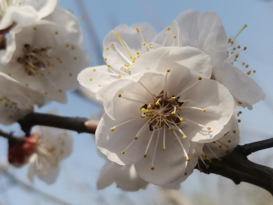 冰雪诗词第9期(图2)