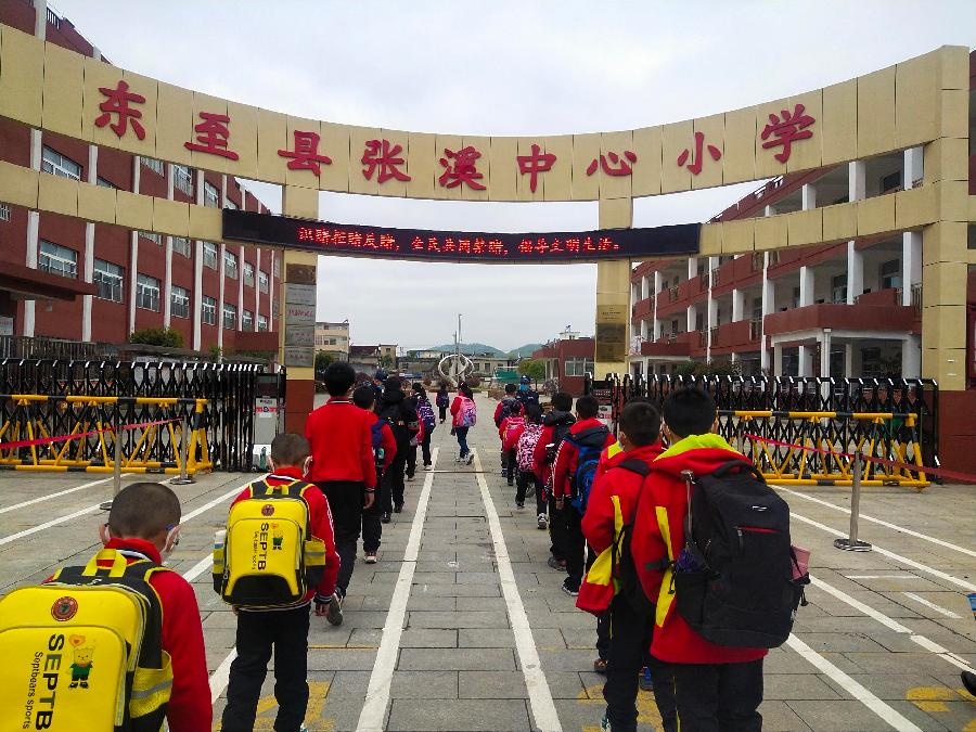 张溪中心学校:加强党建引领 筑牢疫情防线(图3)