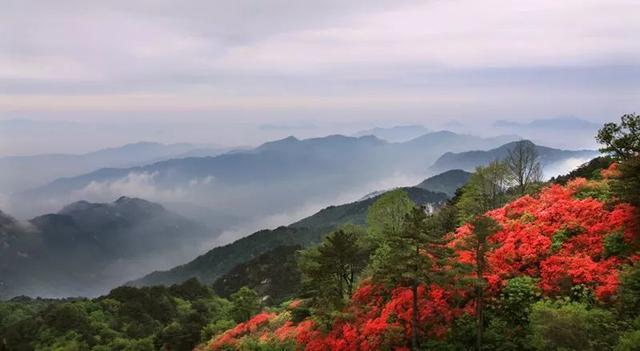 配乐诗朗诵《大别山之歌》作者/关民 主播/边城 编辑/胡琴（图11）
