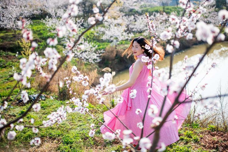 【新山东文学社】《七律.萧萧雨里杏花开(五首)》作者/张君嘉 主播/笑笑(图4)