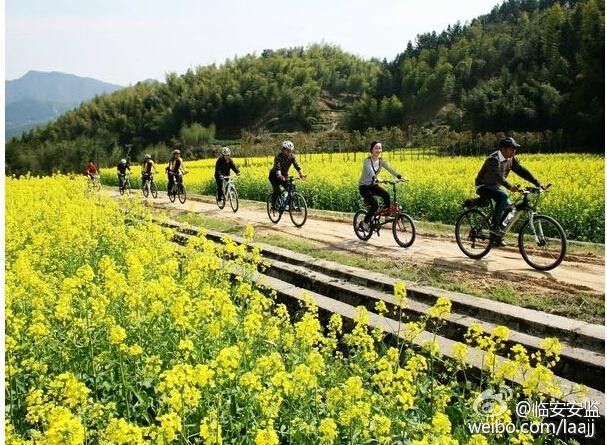 【九江文学社：北京头条】《走 踏青去》文/杨学是（图3）