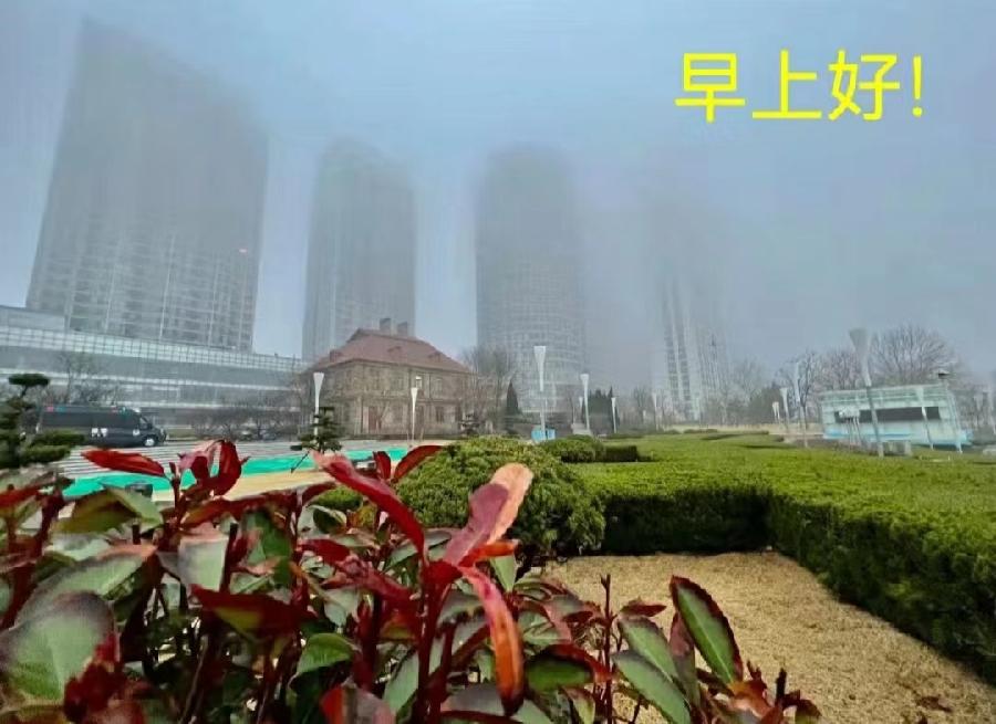 木兰花慢·春雨(2022-3-12)文/龙门梧桐