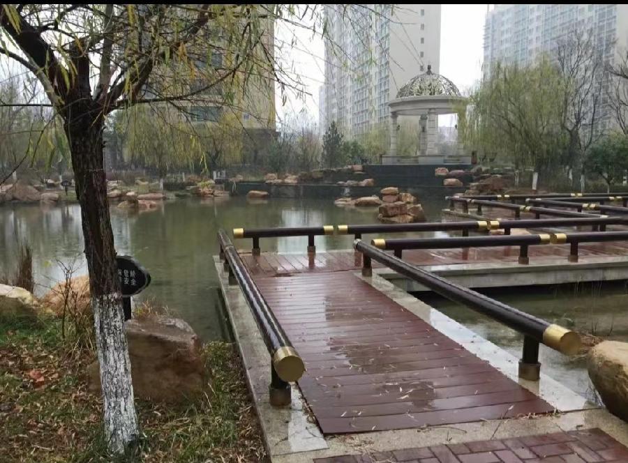 木兰花慢·春雨(2022-3-12)文/龙门梧桐(图2)