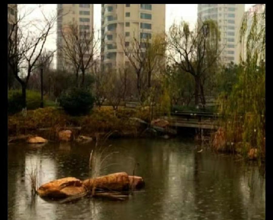 木兰花慢·春雨(2022-3-12)文/龙门梧桐(图5)
