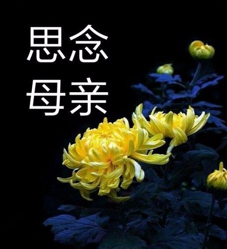 无法远去的悔愤 作者:渝陇之子 京津沪头条文学平台发布(图3)