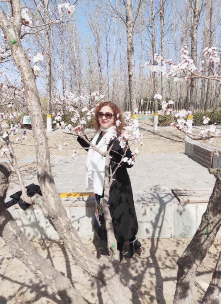 杏花吟Ⅱ文图/吕锦芳（图4）