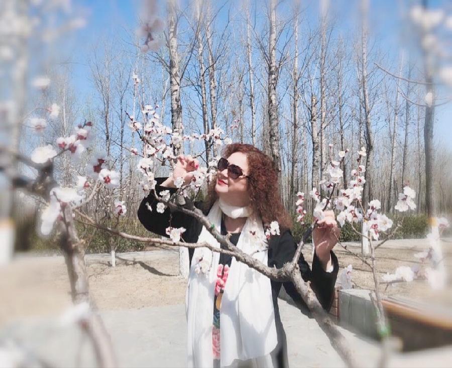 杏花吟Ⅱ文图/吕锦芳（图6）