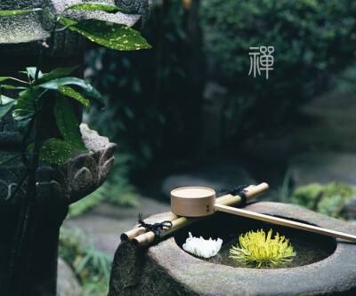 〔诗歌专辑五〕作者 程宝玉(内蒙古)【冰心文化传媒】(图67)