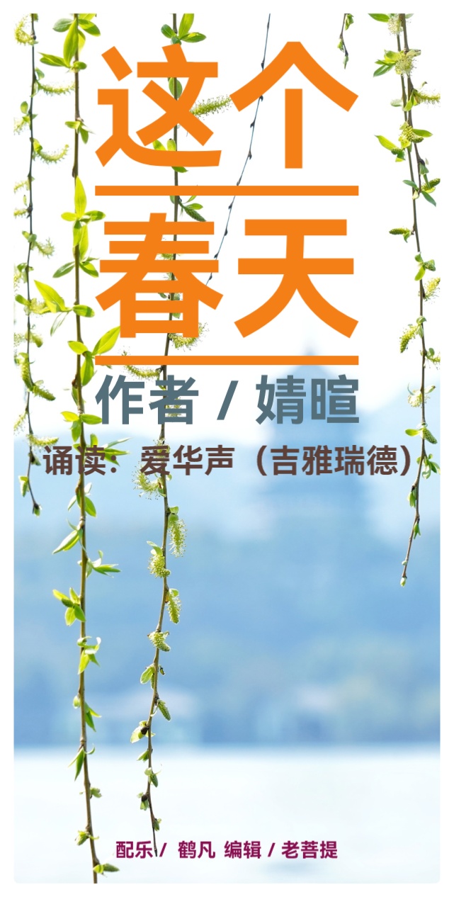 婧暄诗歌选读ll这个春天ll诵读 爱华声(吉雅瑞德)(图2)