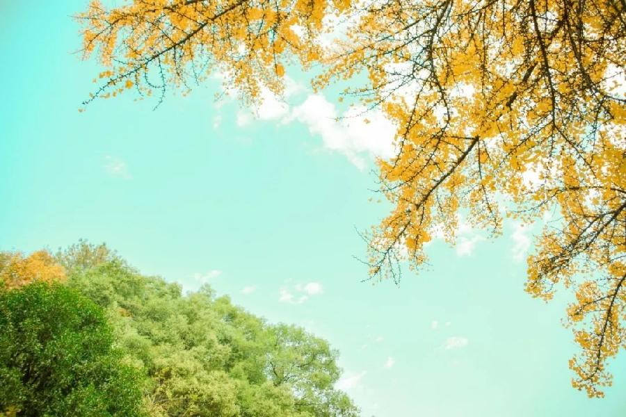 风雅诗诗·第十五期·格律篇（图7）