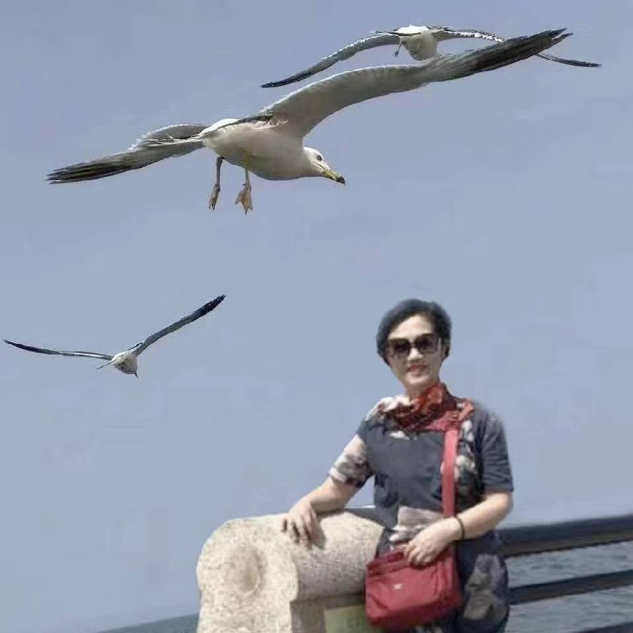 《我愿是芦苇》作者/碑林路人 主播/皇一族 编辑/胡琴(图9)