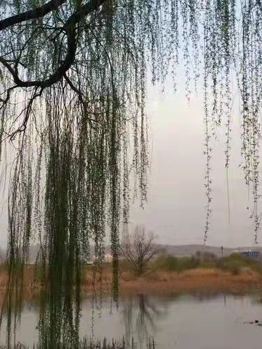 人间四月天Ⅱ文/宁文彪，图/网络（图3）
