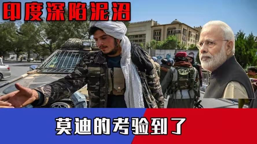 相思引-印度出路唯：中立不结盟（词林正韵）文/冯志清（上海）【冰心文化传媒】（图3）