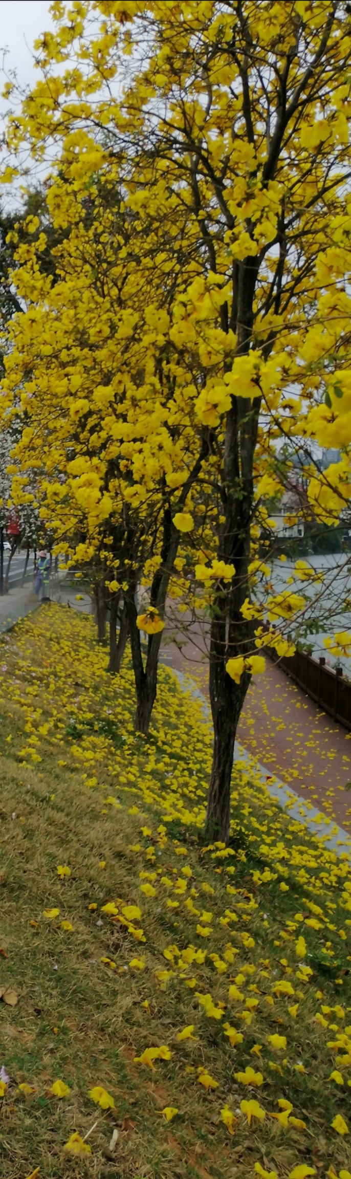 行香子 词三首（新韵）文／江冲（图5）