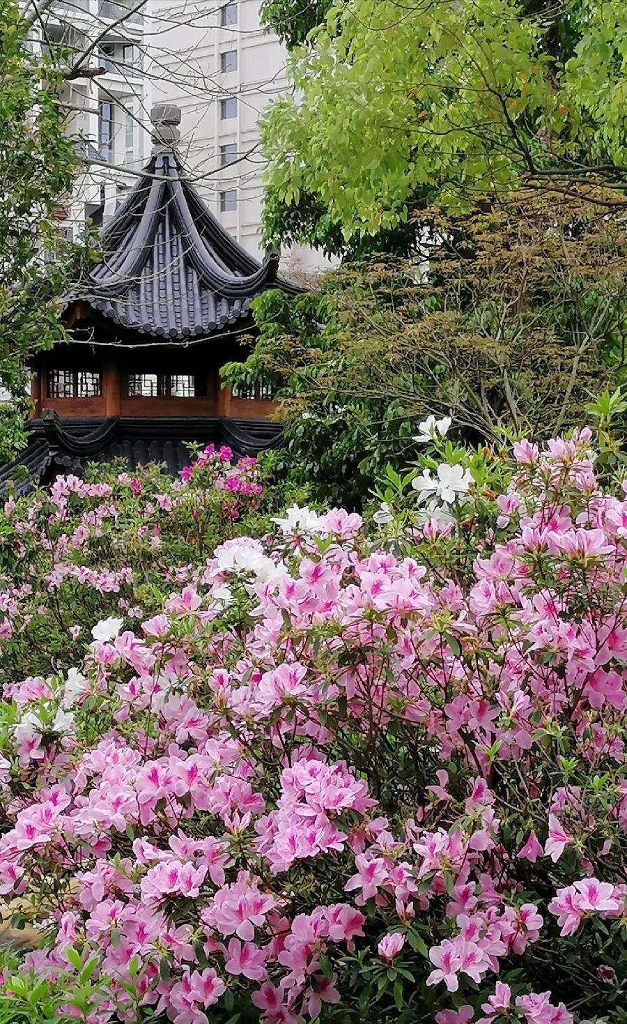 行香子 词三首（新韵）文／江冲（图8）