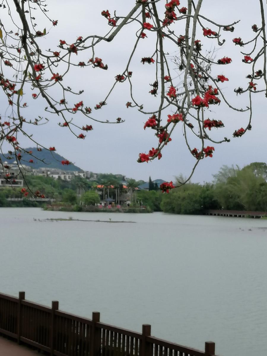 行香子 词三首（新韵）文／江冲（图9）