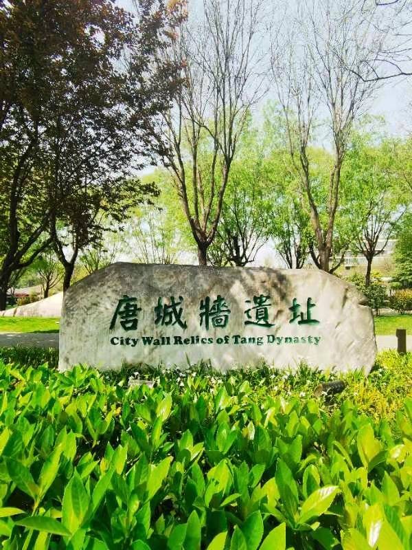 【春】四月，您早：文图／李建印（陕西西安）（图5）