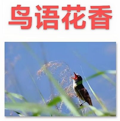 【九江文学社：北京头条】《八一湖图文系列》作者/吴生泉（图13）