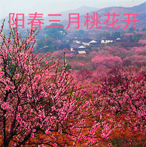 中华诗艺九江格律诗词鉴赏（合辑）第1410期（图44）