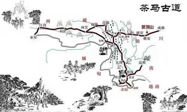 【星月诗社】||梁雨情:承传多年的侨乡赶马调(散文)—北京头条(图2)