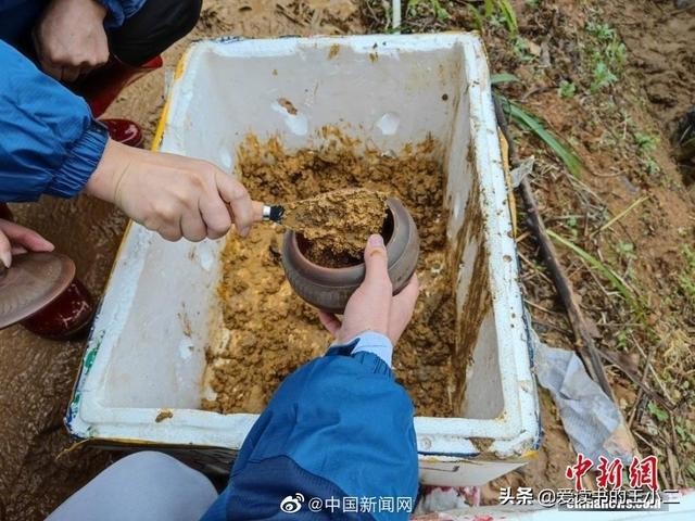 【九江文学社：北京头条】《折翼的银鹰》文/杨继廷（图4）