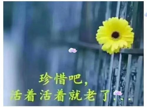 【九江文学社:北京头条】《折翼的银鹰》文/杨继廷(图8)