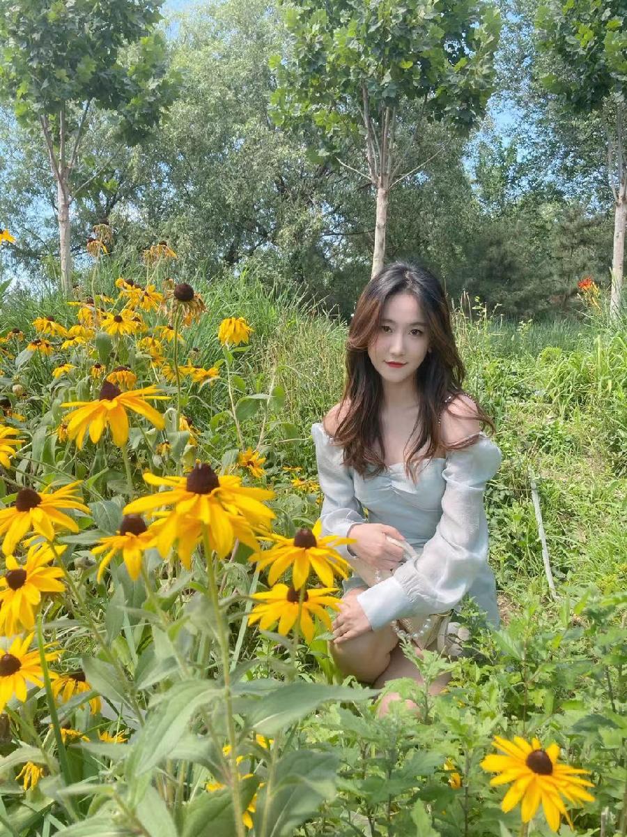 油菜花Ⅱ文图/吕锦芳（图2）