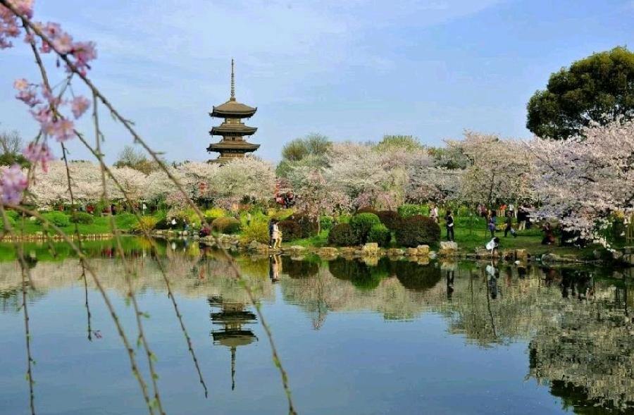 【经典推荐】“农民诗人”曹南强//鹧鸪天•山野散人｛外三首｝（图9）