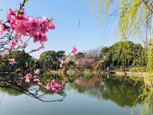 五绝四首（新韵）作者:王新华（河北）【冰心文化传媒】（图4）