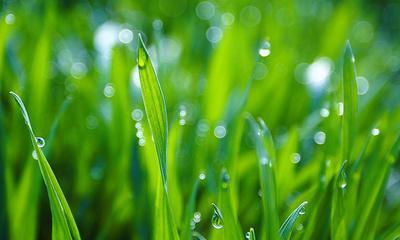 【新山东文学社】《绵绵春雨润无声》作者/ 张秀祥 主播/苏宁（图5）