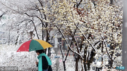 【潇湘文学社】潇湘如兰诗社《春寒》(303期)(图33)