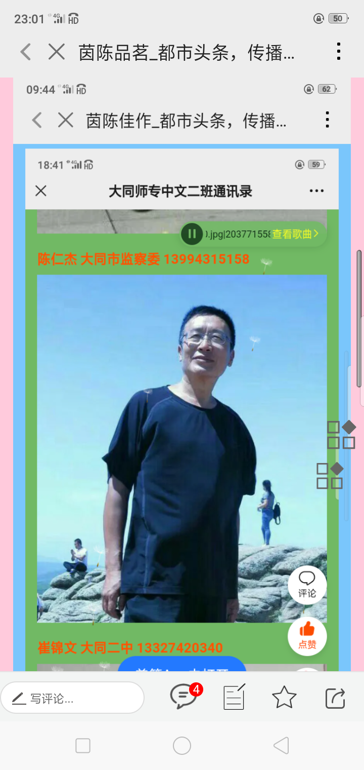 茵陈石趣（图4）