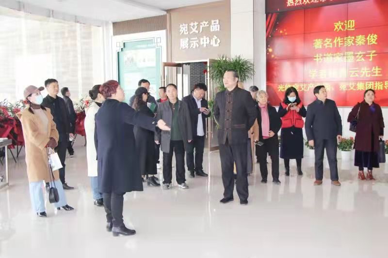 墨玄子在宛艾集团艾产业大健康高峰论坛的讲话(图8)