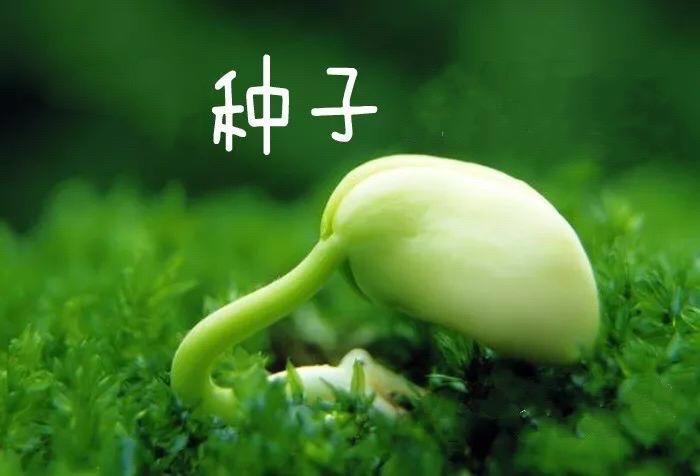 东渡诗社：三月刊｜海外头条（图28）