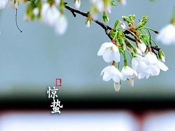 东渡诗社：三月刊｜海外头条（图38）