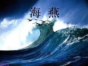 文字与朗诵 作者/焦 勇 主播/陈丽娟(图4)