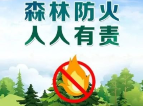 黑山林场简报【之一】(图7)