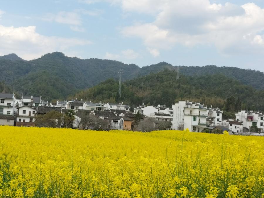 【景德镇诗词书画交流群】老师们作品欣赏(图8)