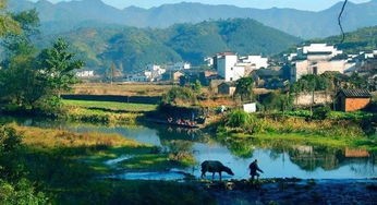 《致谢父老乡亲》作者：莫先生；诵读：雯煜；编辑：宋梅【中国长江文学社】有声文学平台第3566期（图4）