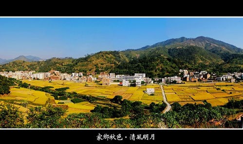 《致谢父老乡亲》作者：莫先生；诵读：雯煜；编辑：宋梅【中国长江文学社】有声文学平台第3566期（图7）