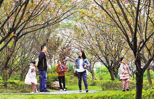 【潇湘文学社】潇湘陶菊诗社《踏青/祭祖》（总304期）（图23）