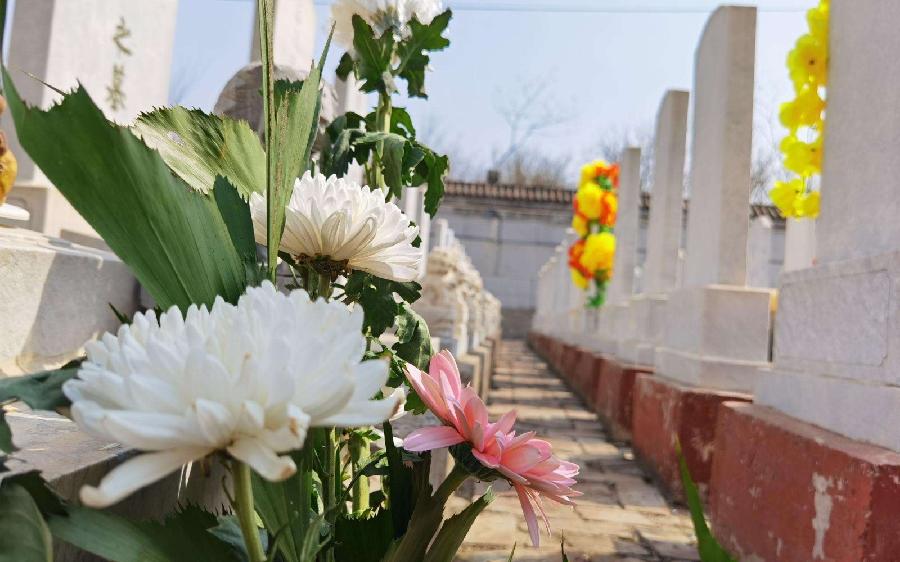 【潇湘文学社】潇湘陶菊诗社《踏青/祭祖》(总304期)(图35)