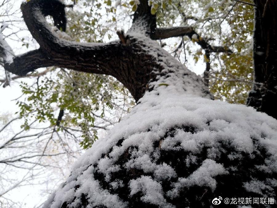 林海老师诗歌专辑，编辑:宋梅【中国长江文学社】有声文学平台第3567期（图9）
