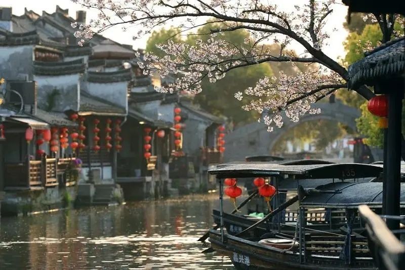 《岁月有你》作者：仲人；诵读：清柔的风；编辑：宋梅【中国长江文学社】有声文学平台第3568期（图6）