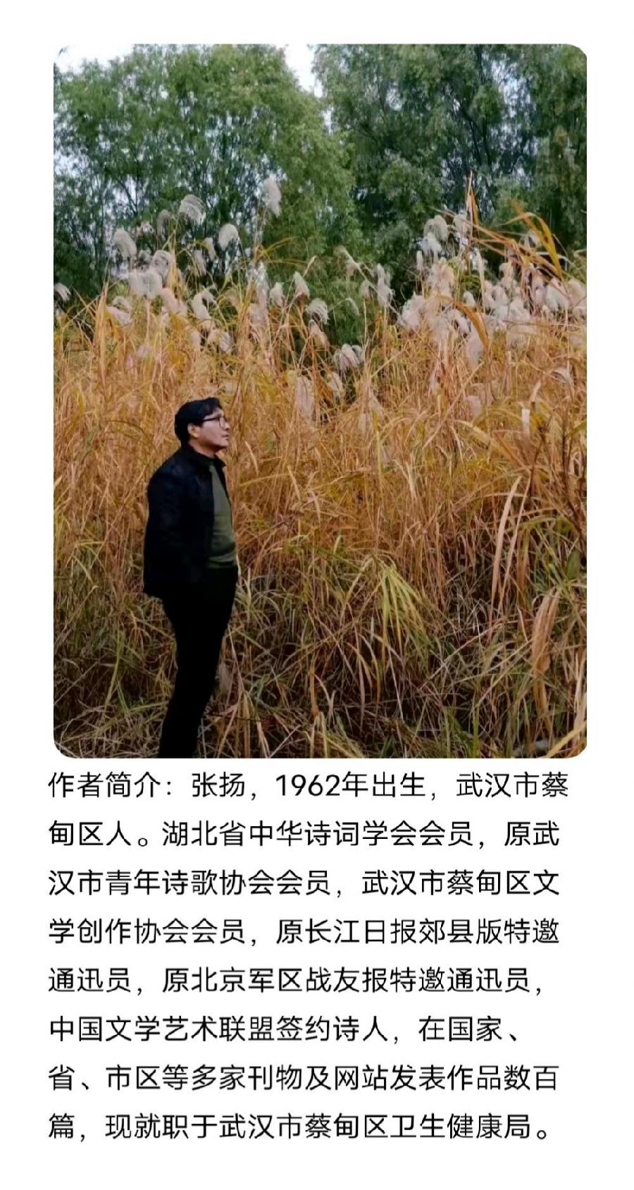 【诗生活】张扬‖穿旗袍的女人（图2）