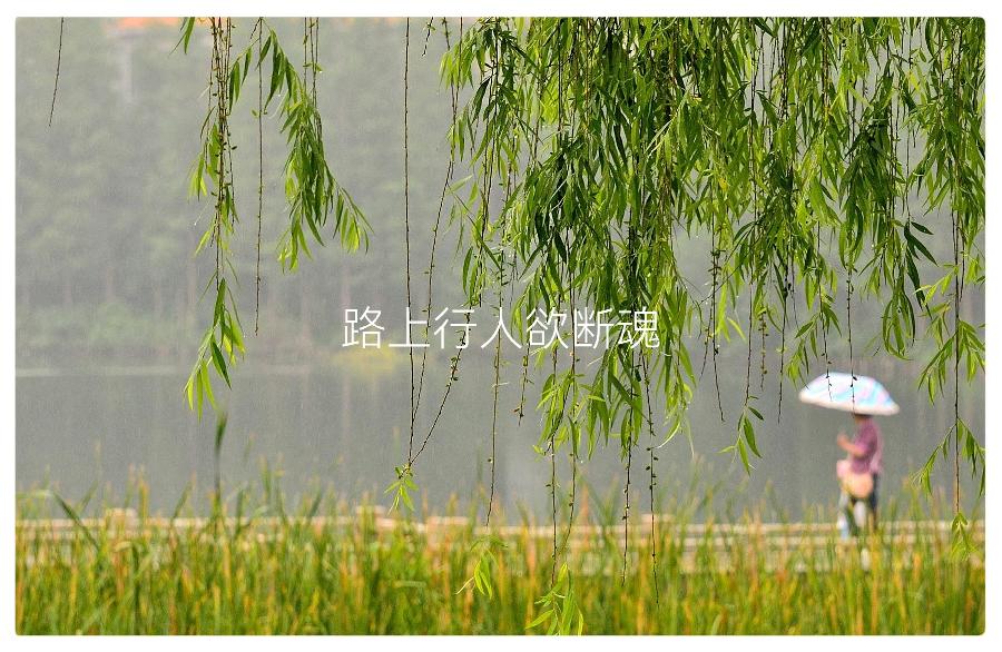 吴明辉诗歌选读ll清明ll诵读 爱国(图4)