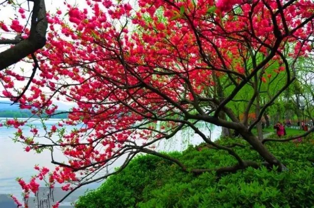 韦振宇律诗（图3）